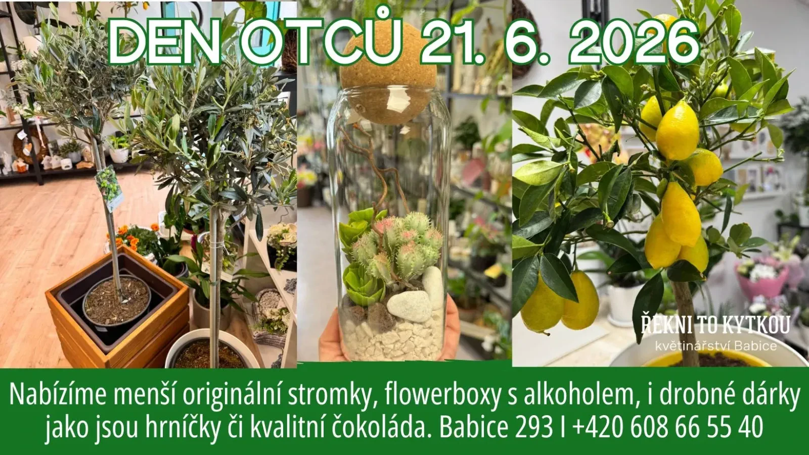 Den otců 21. 6. 2026: Originální dárky pro tatínky z květinářství Řekni to kytkou v Babicích