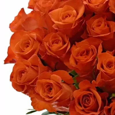 Kytice z růží — Oranžová